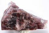 Rare, Red Villiaumite Crystal Section - Murmansk Oblast, Russia #195321-1